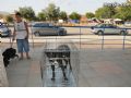 Concurso canino - 5 Concurso canino - 5